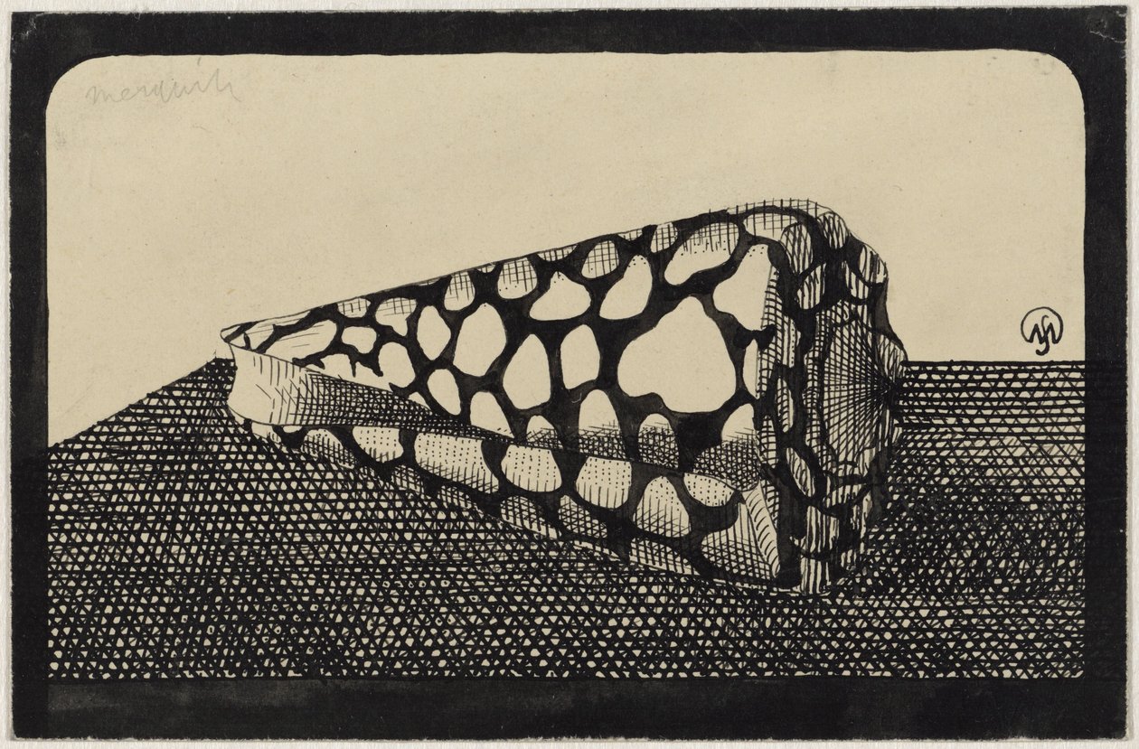 Shell, Facing Left by Samuel Jessurun de Mesquita