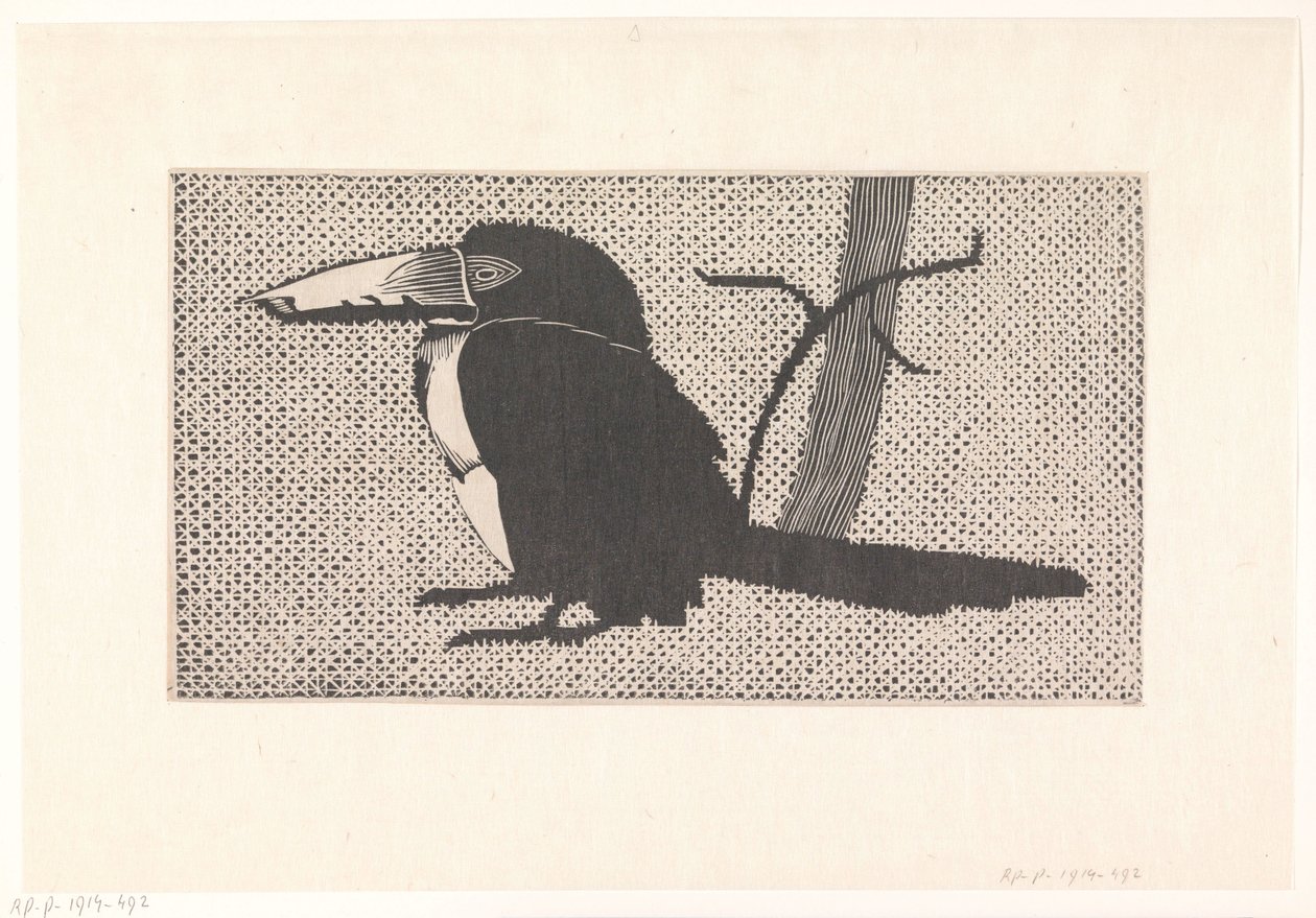 Toucan by Samuel Jessurun de Mesquita