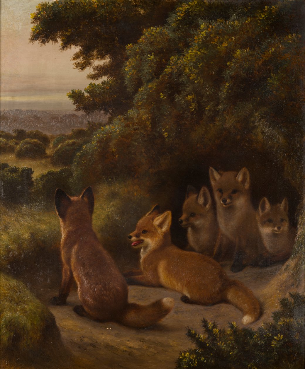 A litter of Fox Cubs by Samuel John Carter