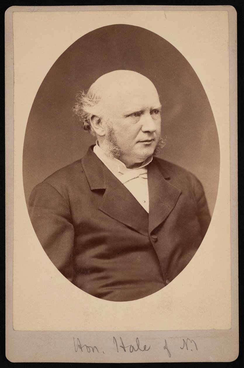 Portrait of Robert Safford Hale by Samuel Montague Fassett