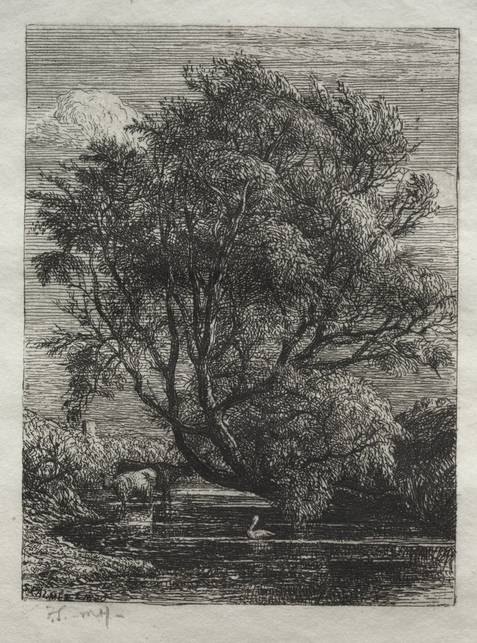 The Willow by Samuel Palmer