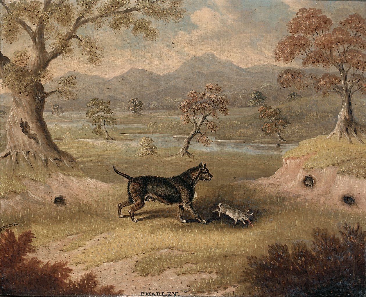Charley, a Terrier with a Rabbit by Samuel Spode