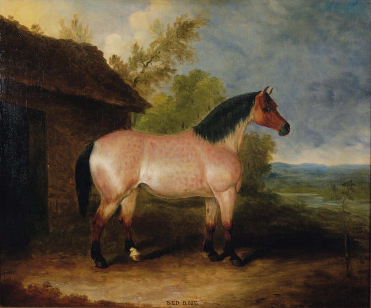 Red Rose Before a Stable by Samuel Spode: Fine art print