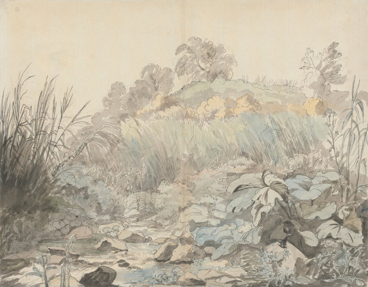 A Rocky Stream by Samuel Woodforde