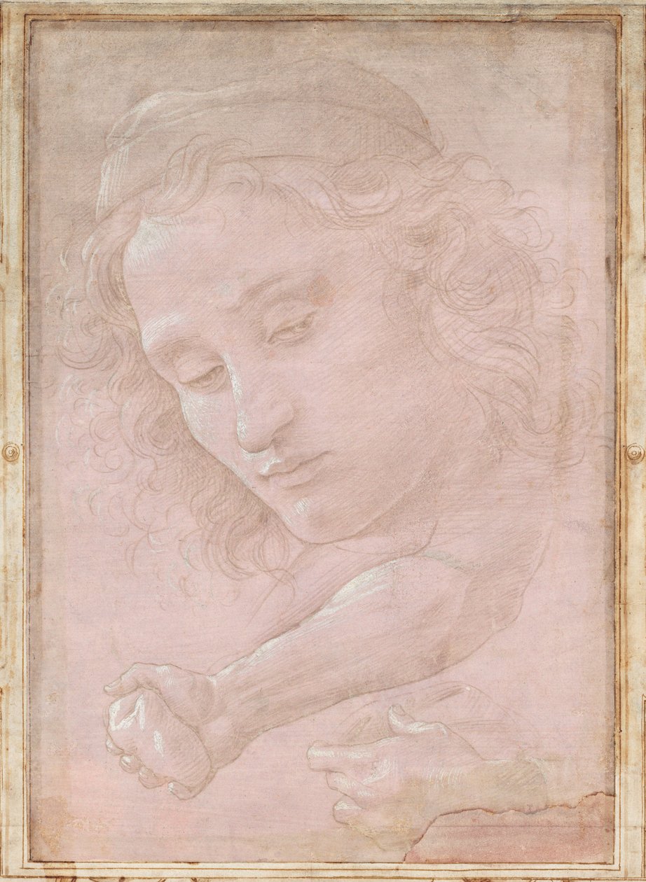 Head of a Youth Wearing a Cap; a Right Forearm with the Hand Clutching a Stone; and a Left Hand Holding a Drapery by Sandro Botticelli