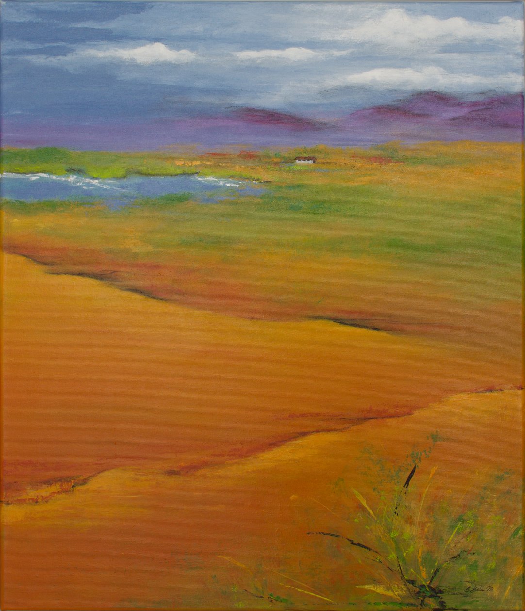 Colors of Nature by Sandy Iseli