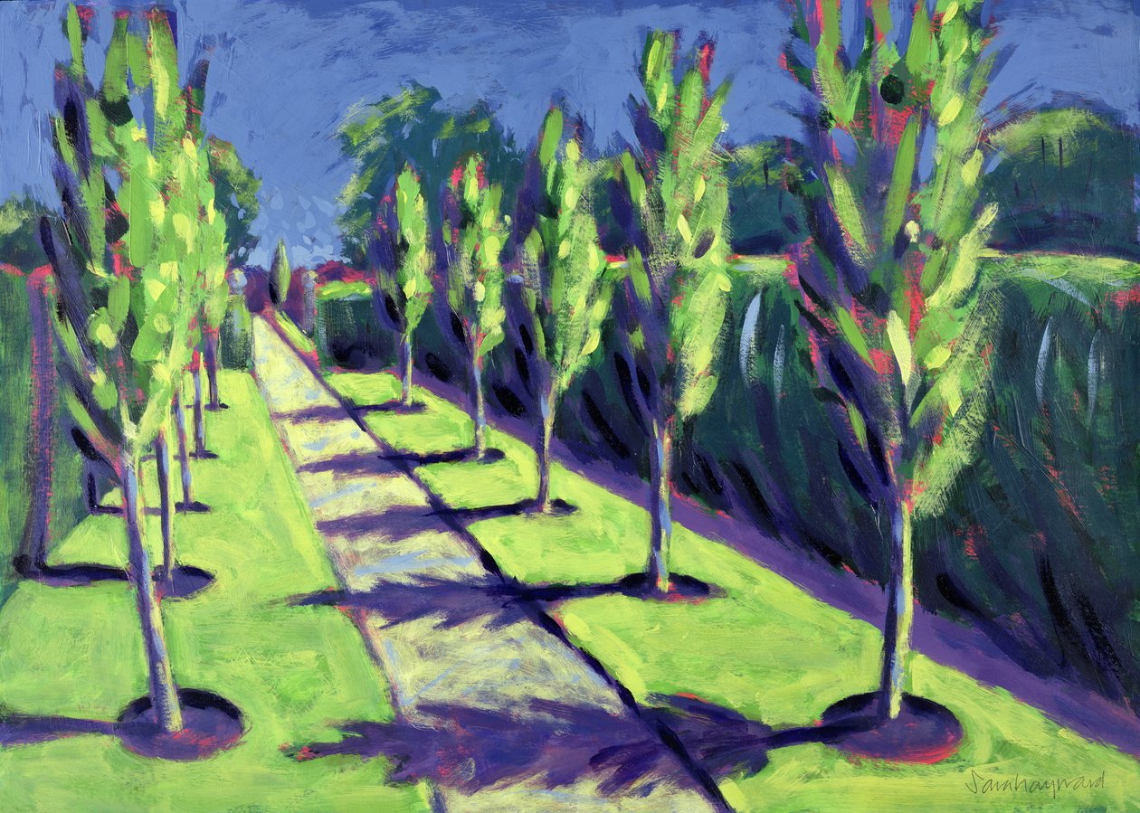 Avenue by Sara Hayward