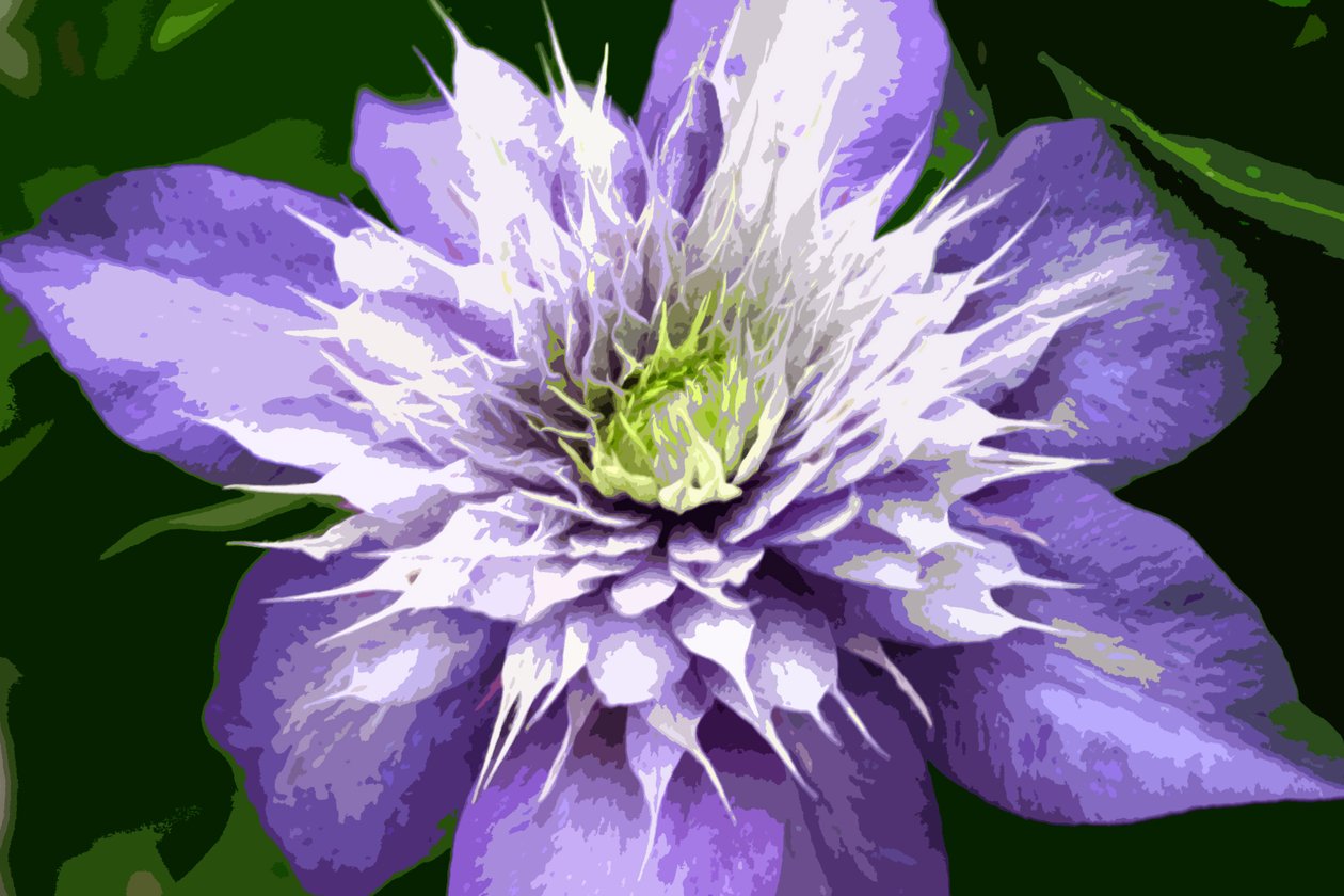 Ocean Bloom by Sarah OToole: Premium art reproduction