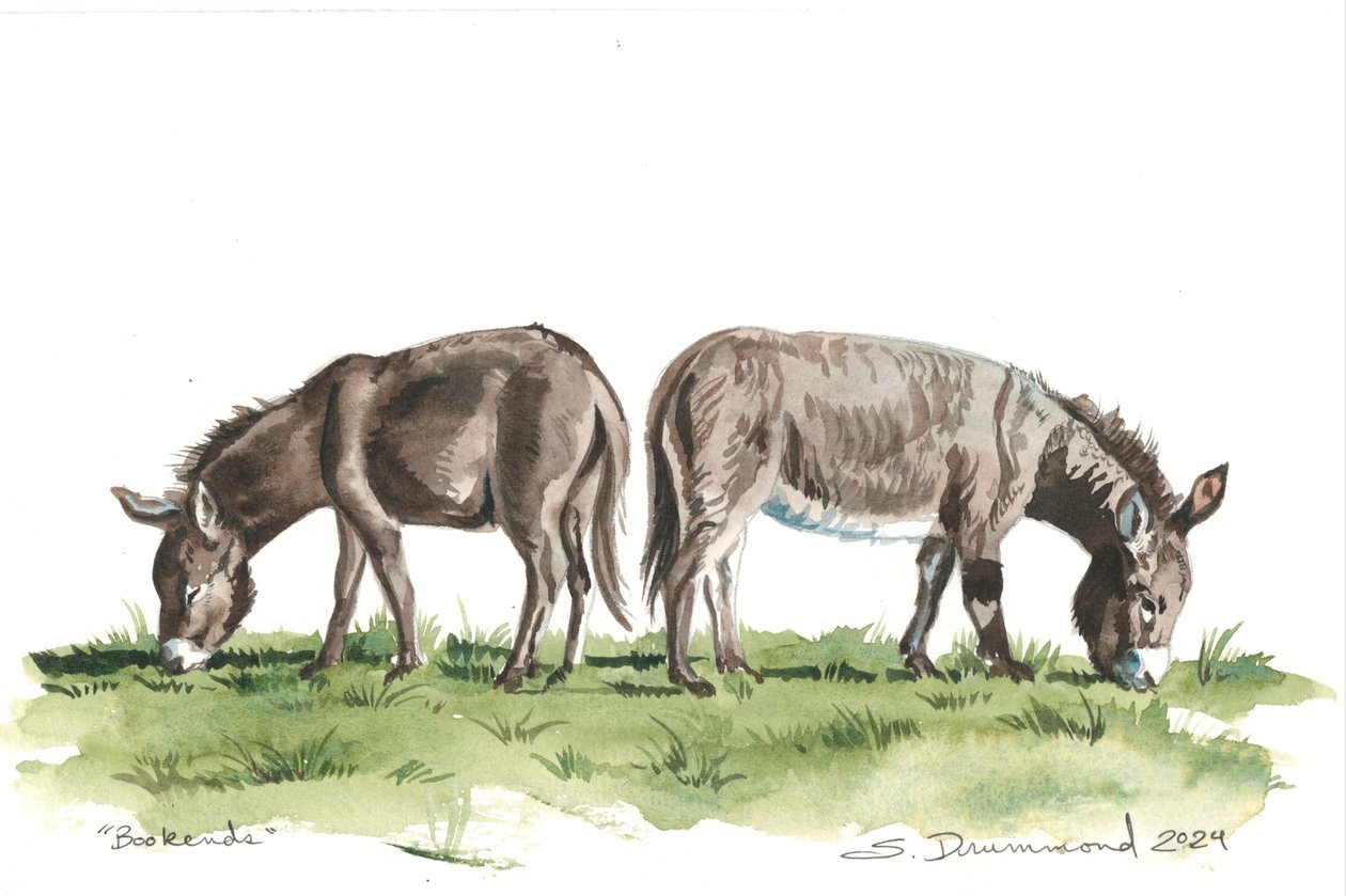 Bookends by Sarah Drummond