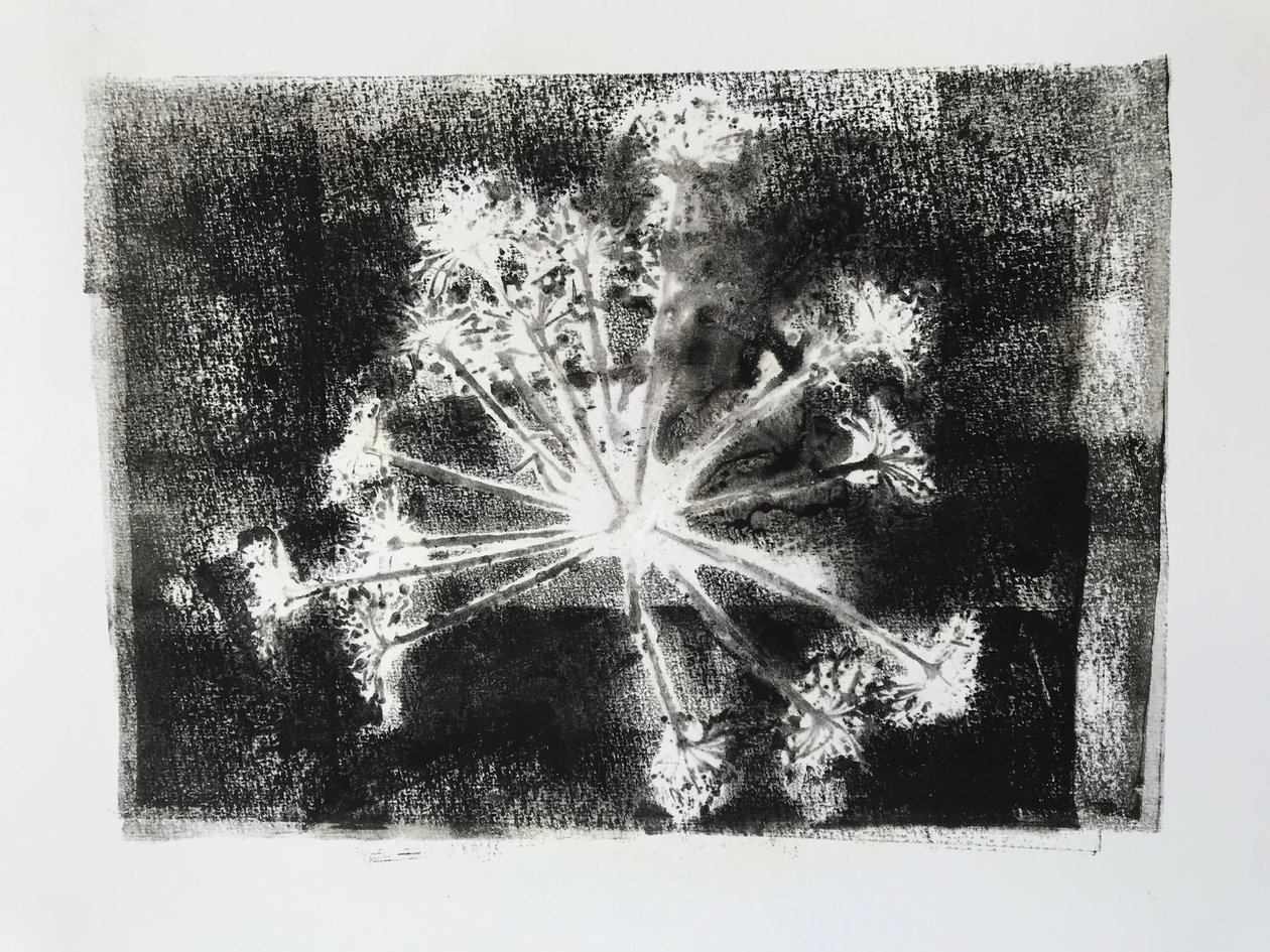 Seedhead II, 2020 by Sarah Thompson Engels