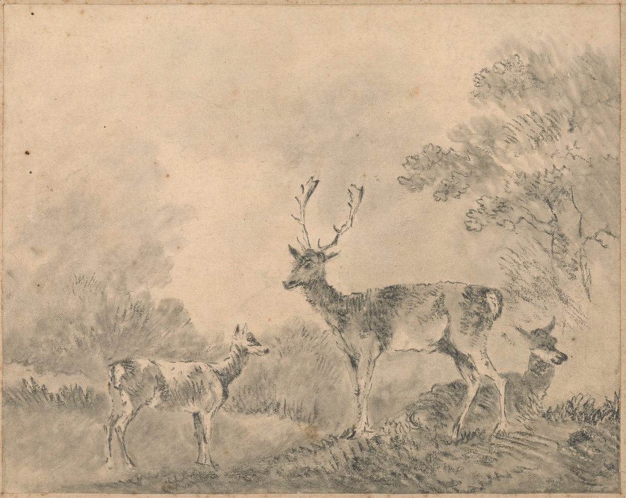 Fallow Deer: Stag, Doe and Fawn in a Clearing by Sawrey Gilpin