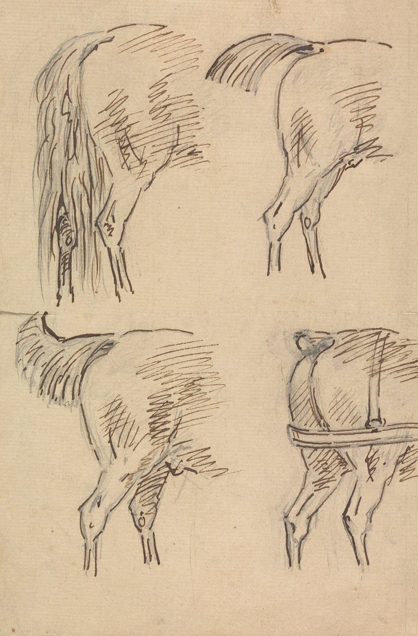 Four Sketches of Hind Quarters of Horse by Sawrey Gilpin