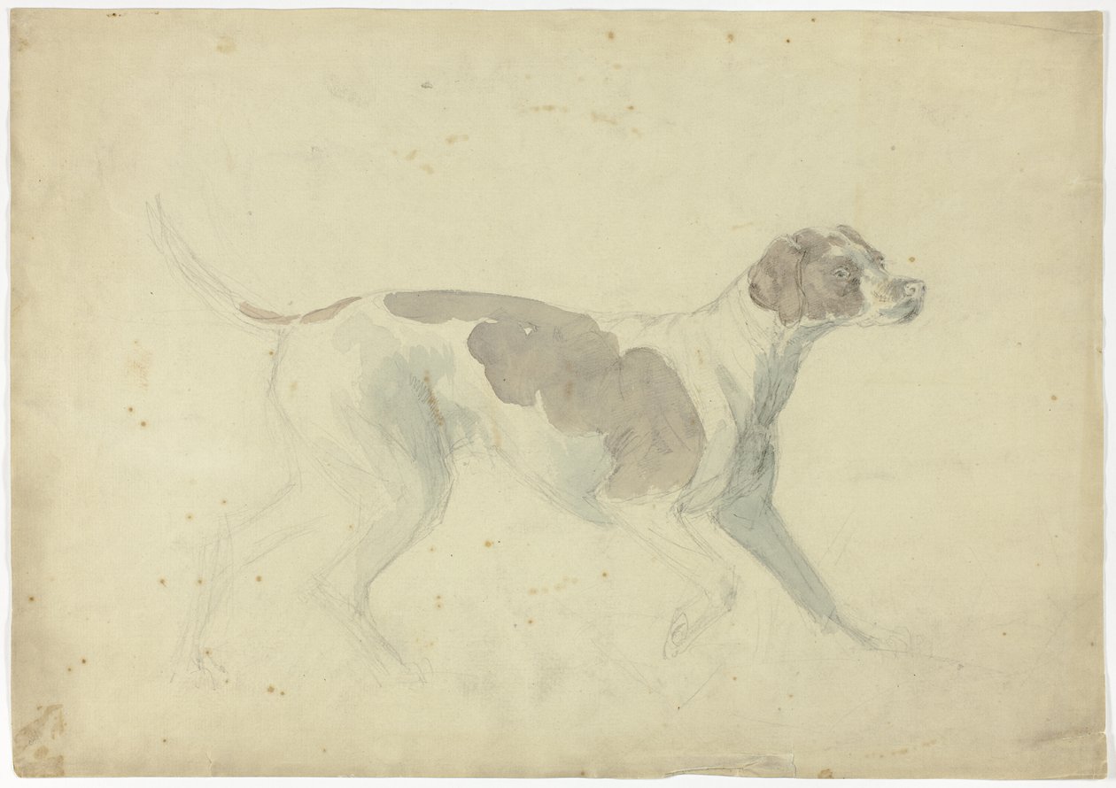 Fox Hound (front); Sketches of Horse and Rider (back) by Sawrey Gilpin