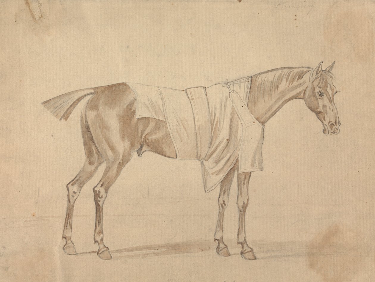 Horse Dressed in Blanket by Sawrey Gilpin