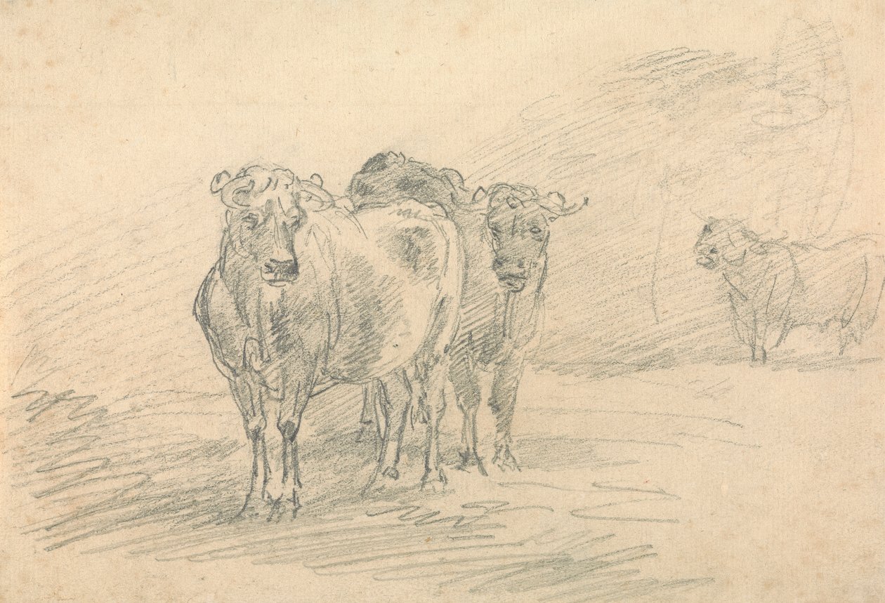 Two Cows on a Hill by Sawrey Gilpin