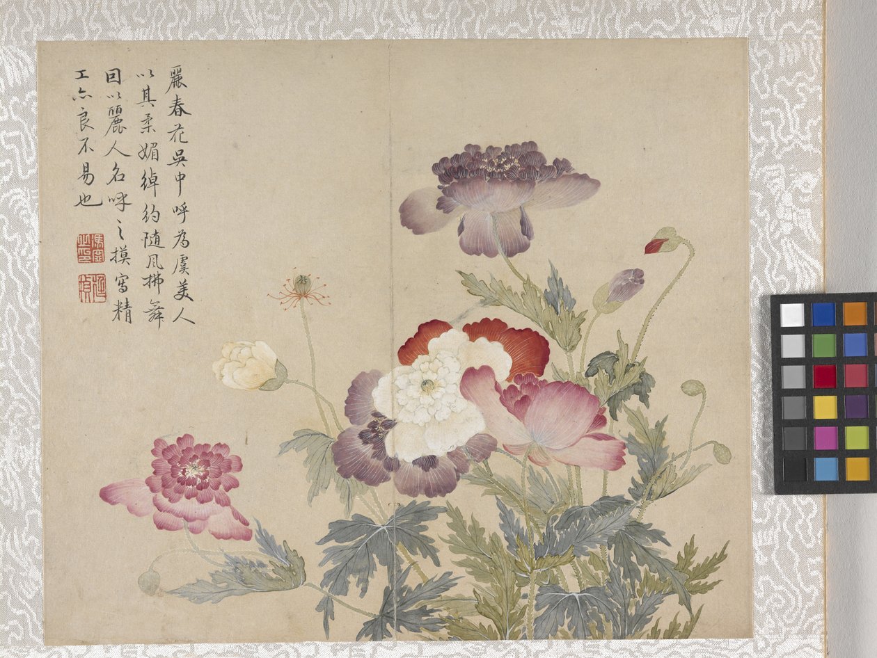 8 Leaf Album of Flowers, mid 1700s by School Chinese