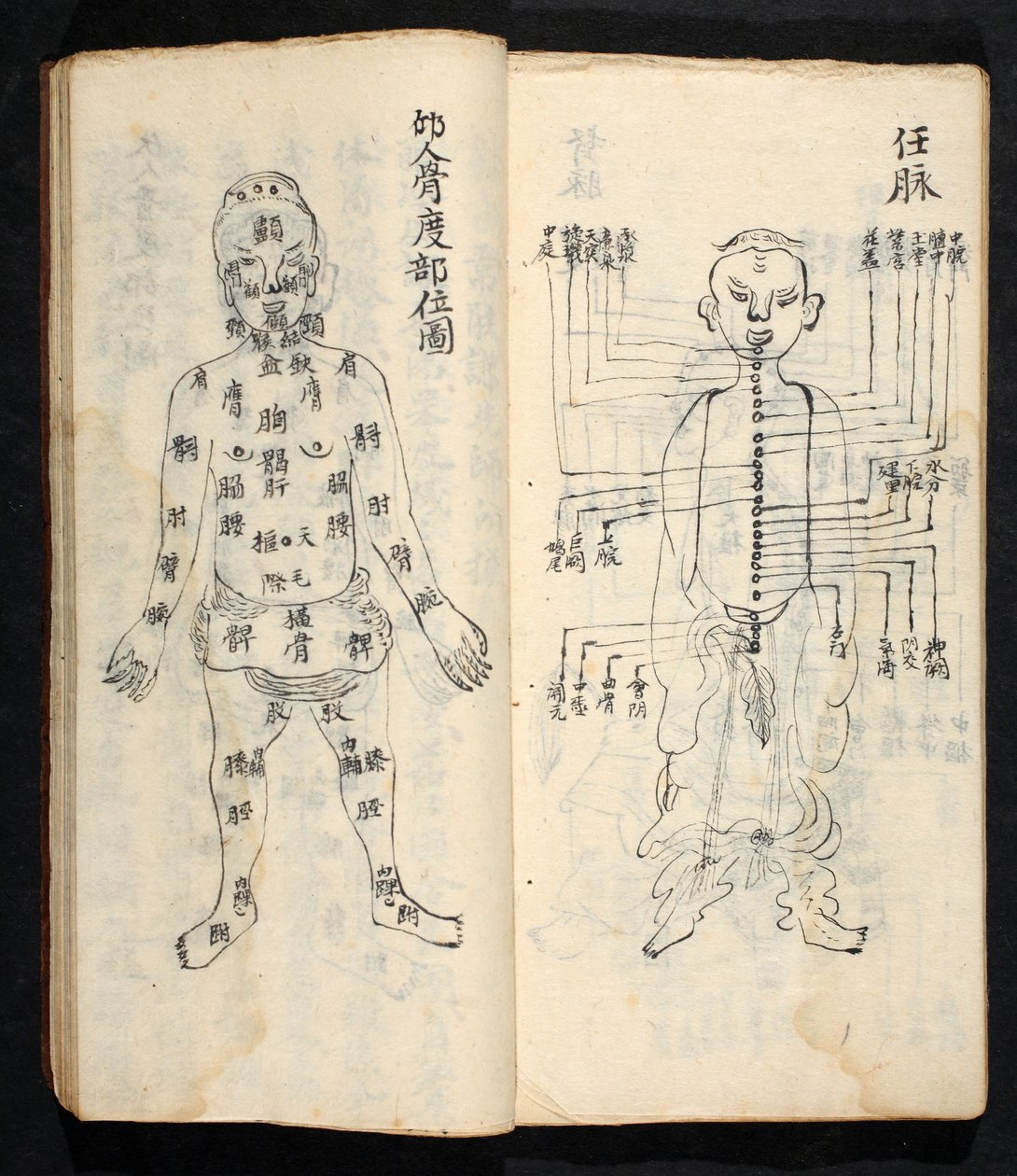 Acupuncture points along the central line of the body, from Jing Guan Qi Zhi, 