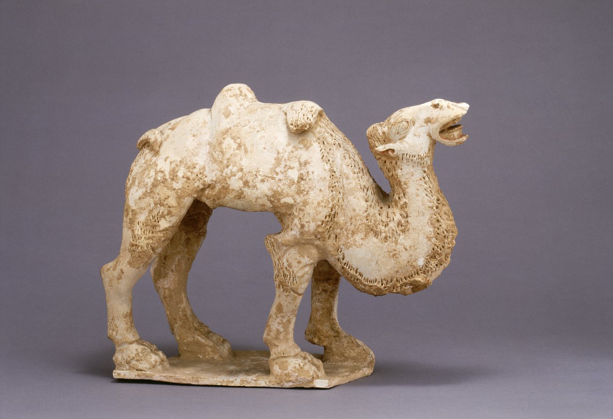 Camel, Possibly 7th Century by School Chinese