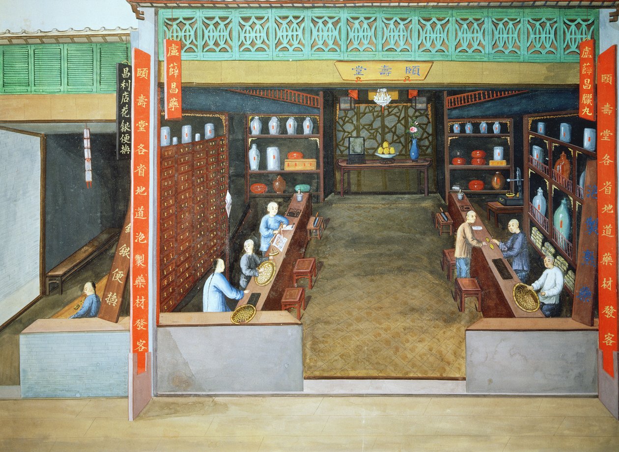 Chinese Medicine, c.1830 by School Chinese