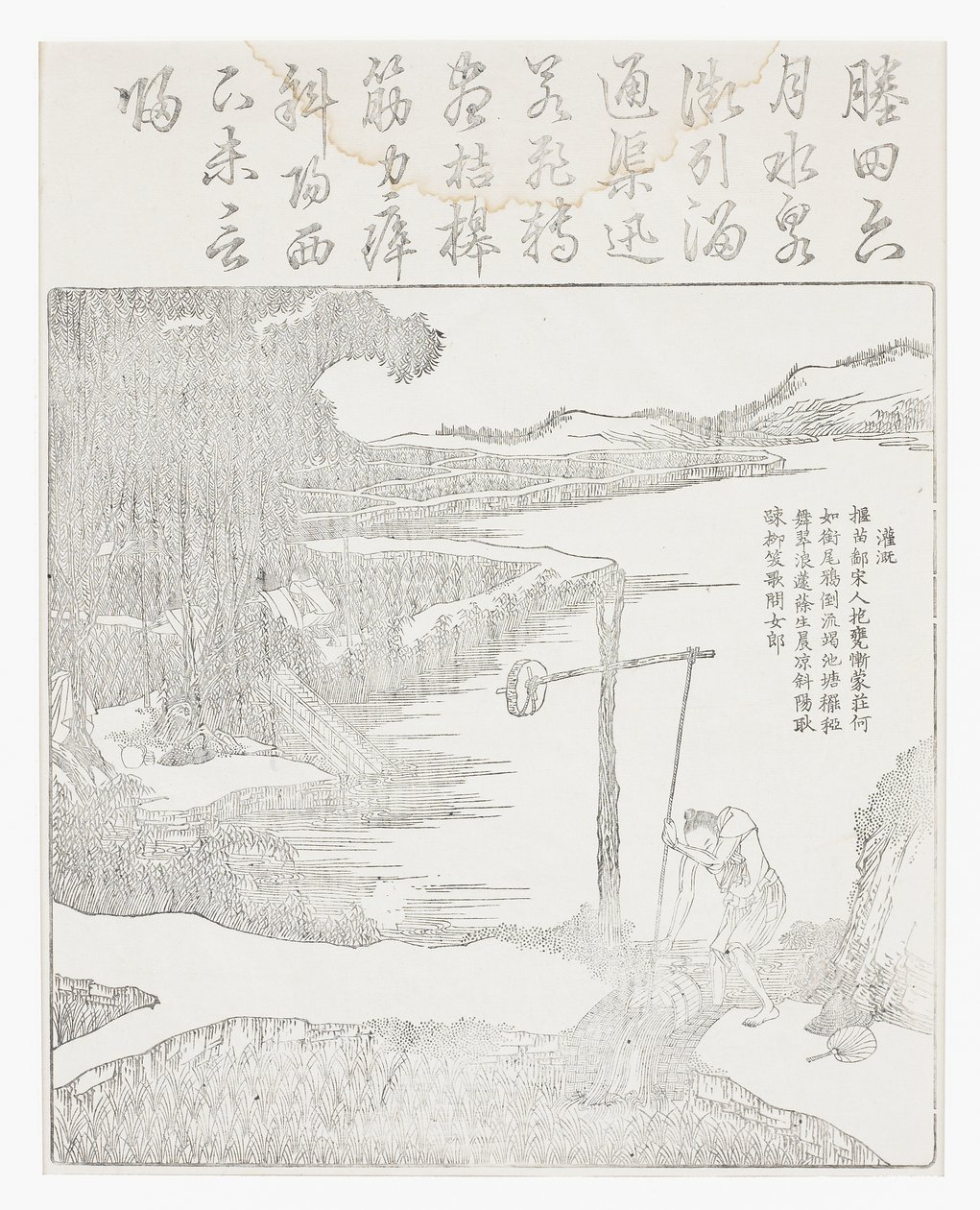Irrigating the paddy by School Chinese
