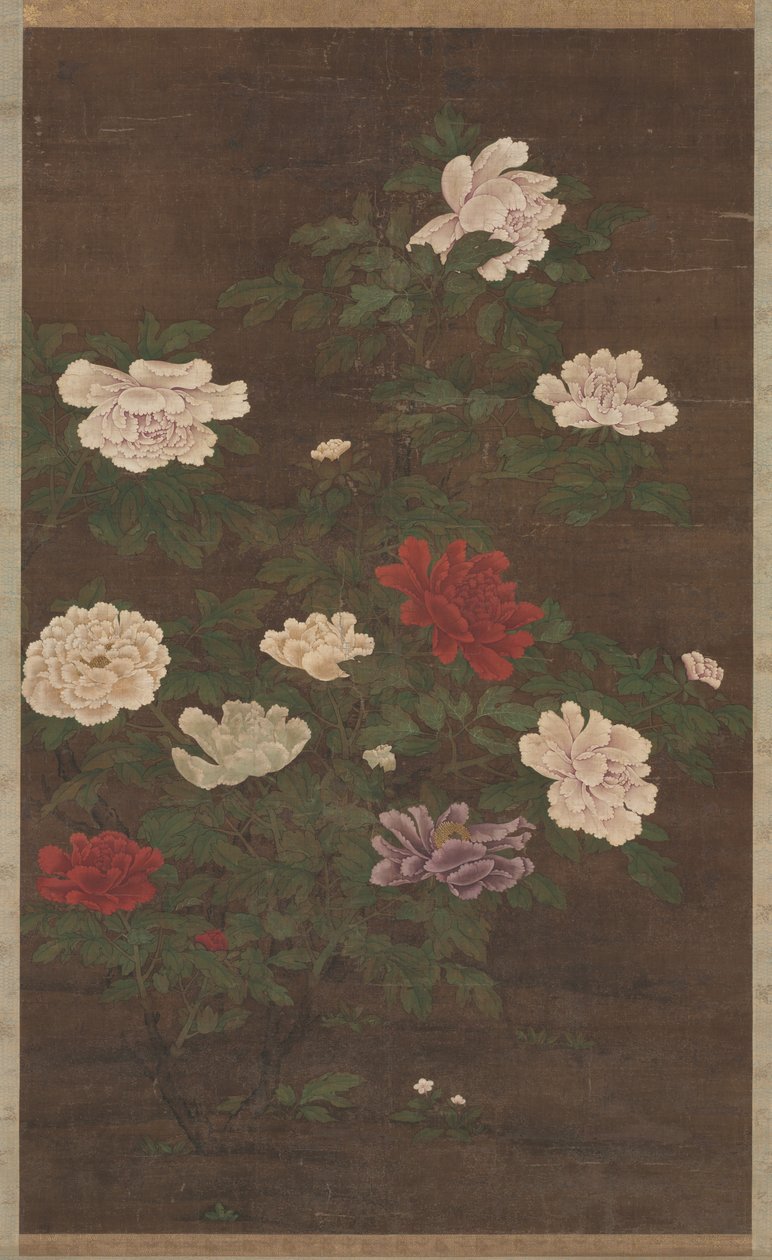 Peonies by School Chinese