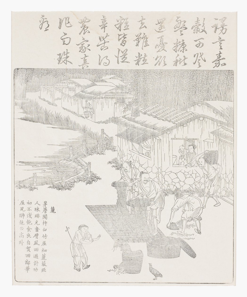 Sifting the Rice by School Chinese