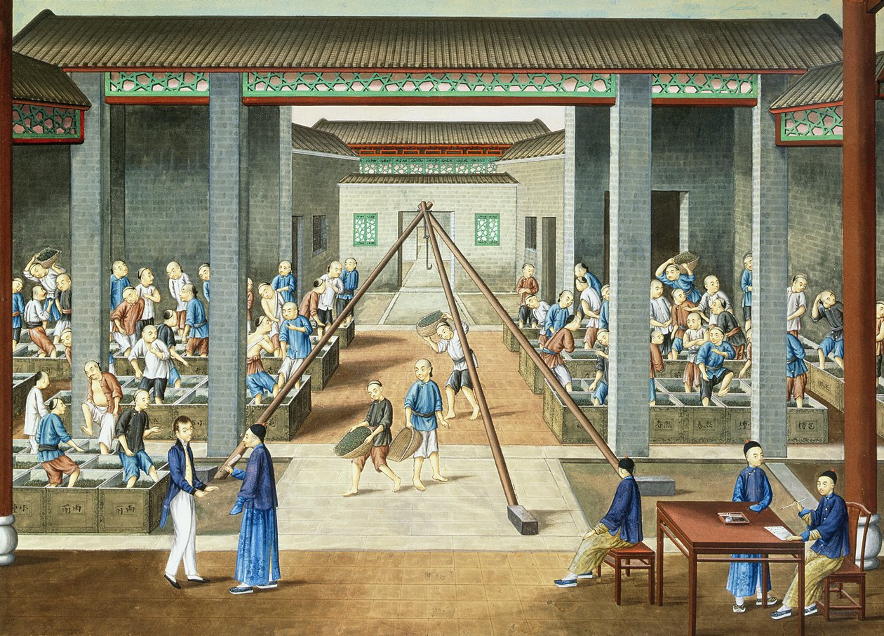 Tea Culture: Weighing and Purchasing Tea by School Chinese