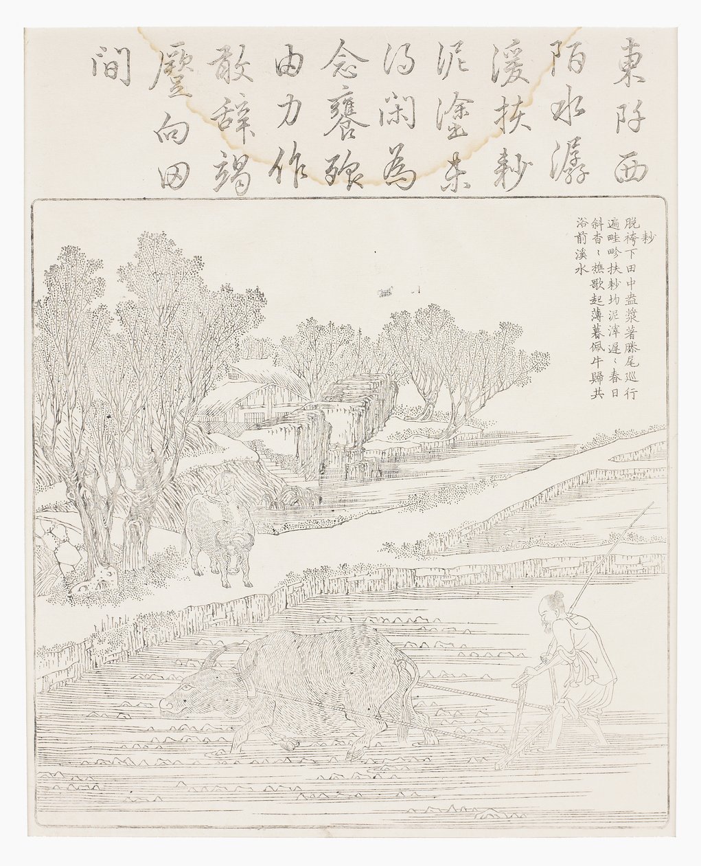 Tilling Rice Paddy in Dry Weather by School Chinese