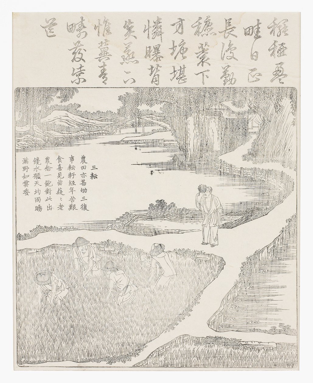 Working in the Paddy by School Chinese