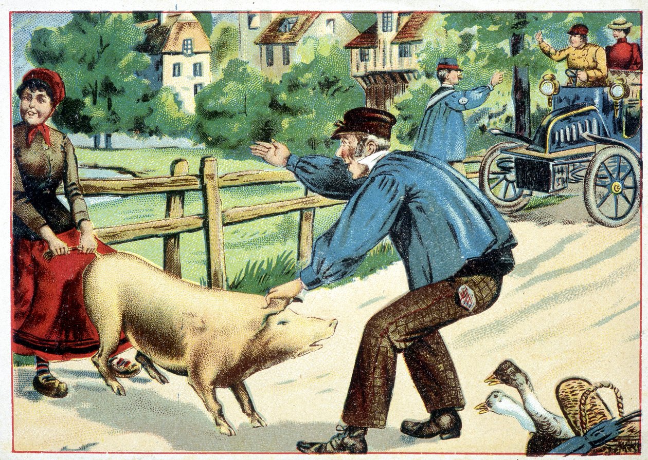 Pig that refuses to move forward and that bars the road to an automobile - drawing by School French