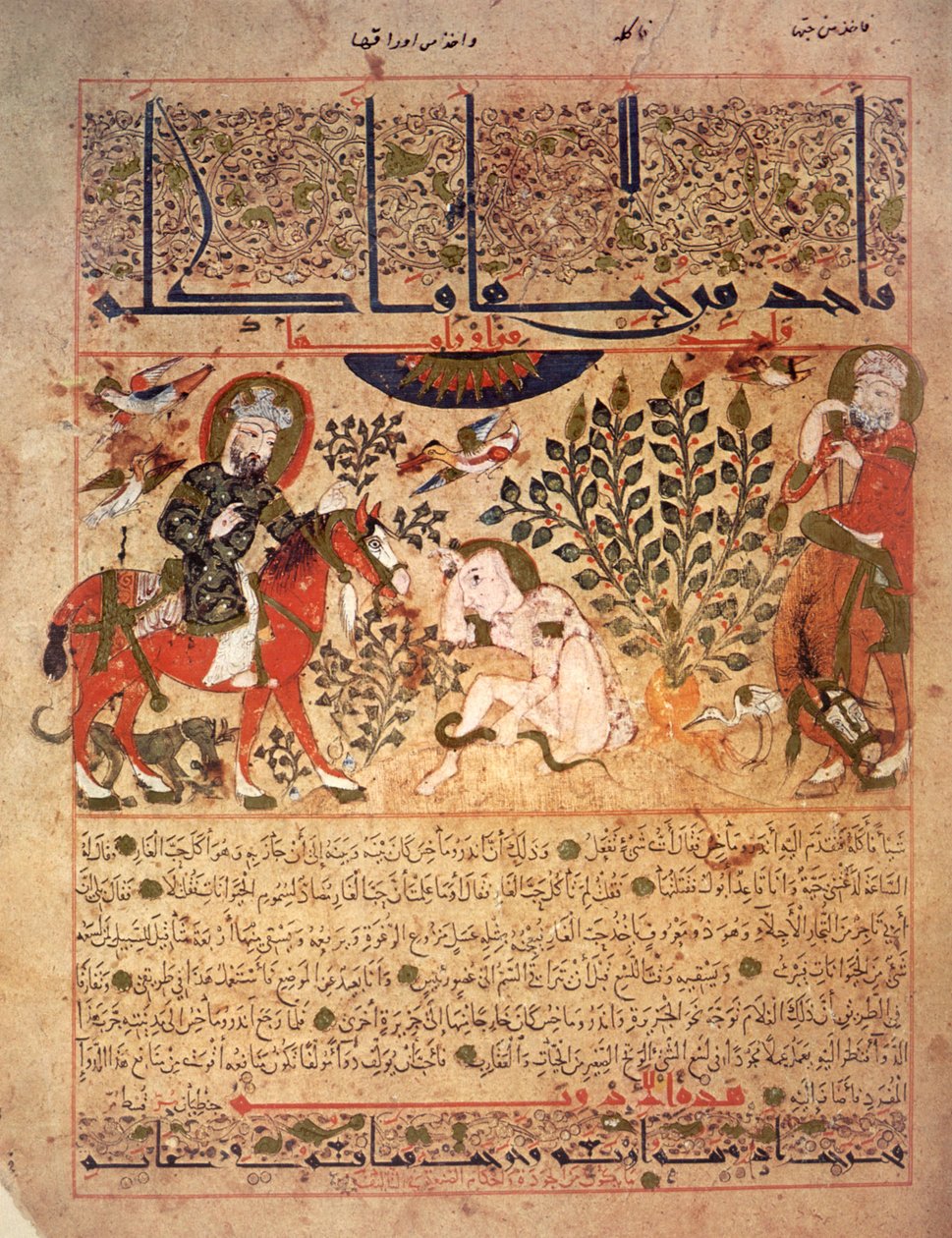A man is pricked by a snake, Illustration from the 