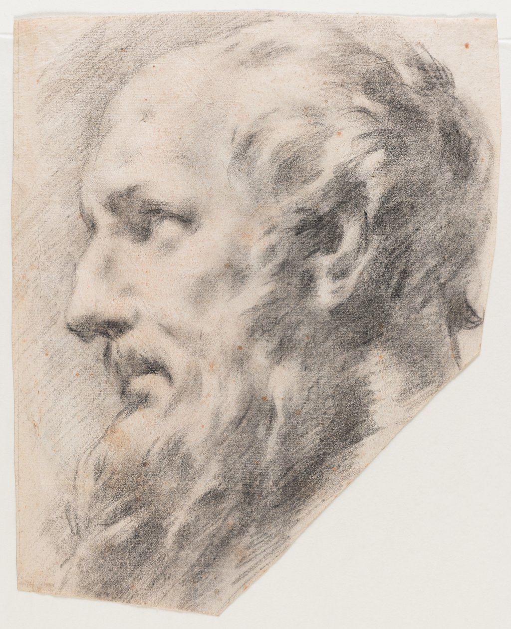 Profile Head by School Italian: Buy fine art print