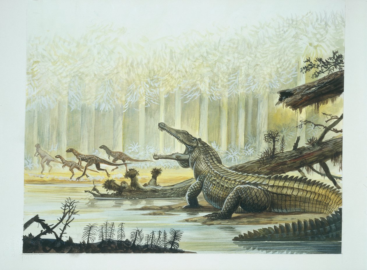 Rutiodon with Fabrosaurus in the background, Triassic period by School Italian
