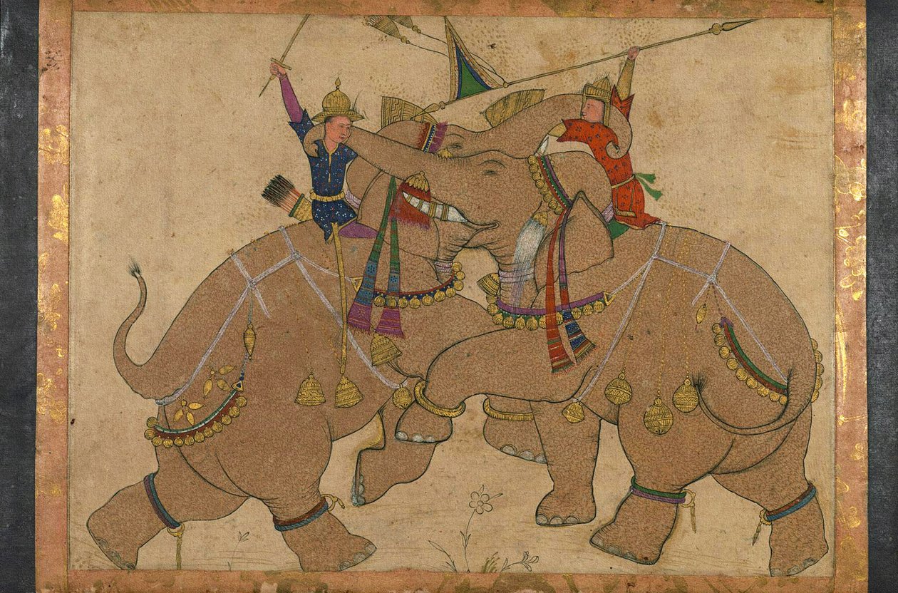 Elephant Combat by School Mughal
