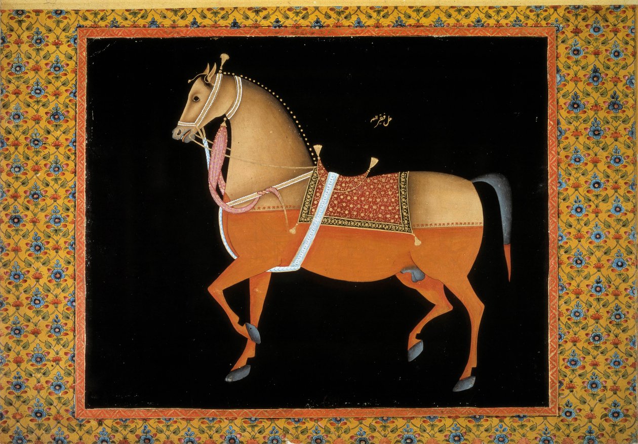 Moghol art: representation of a stallion by School Mughal