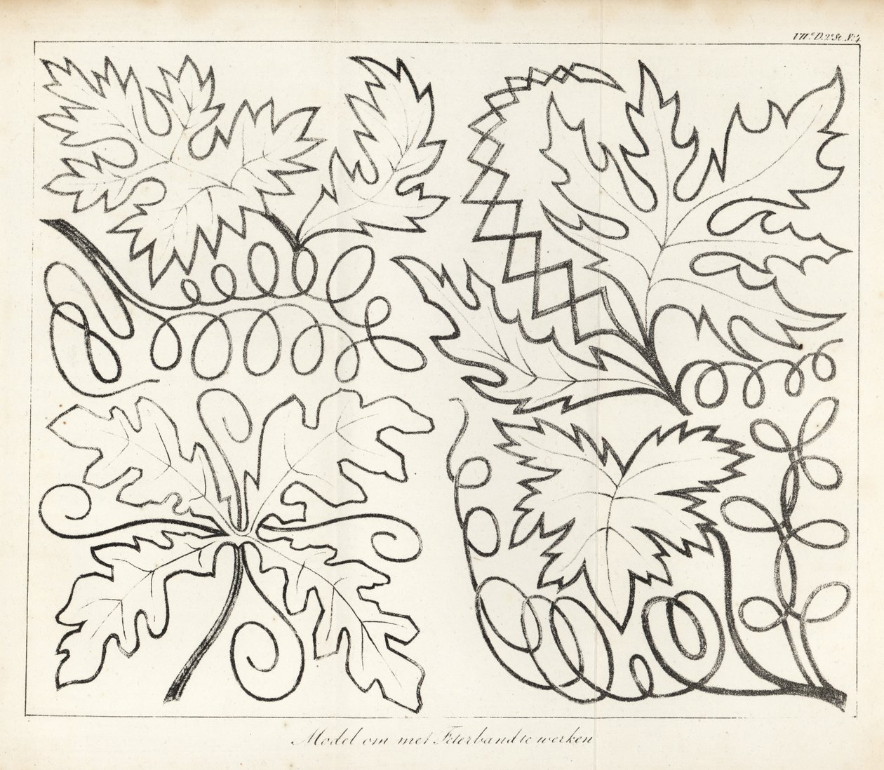 Leaf Patterns for Needlework by School Netherlandish