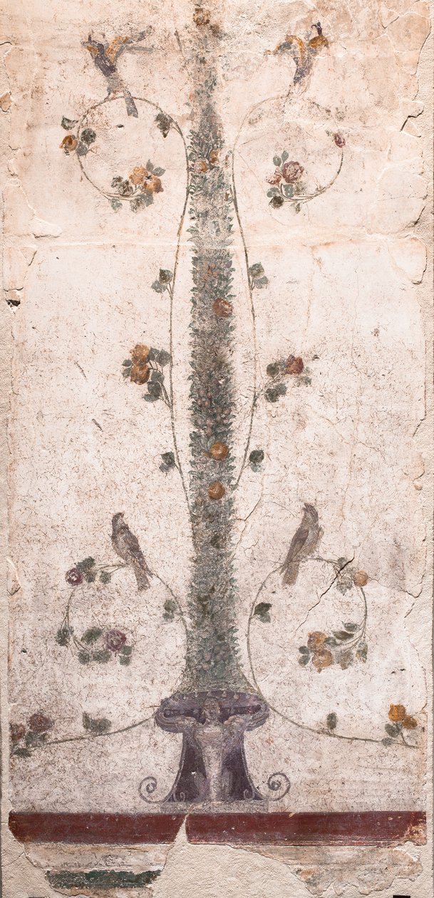 Birds and Fruits by School Roman