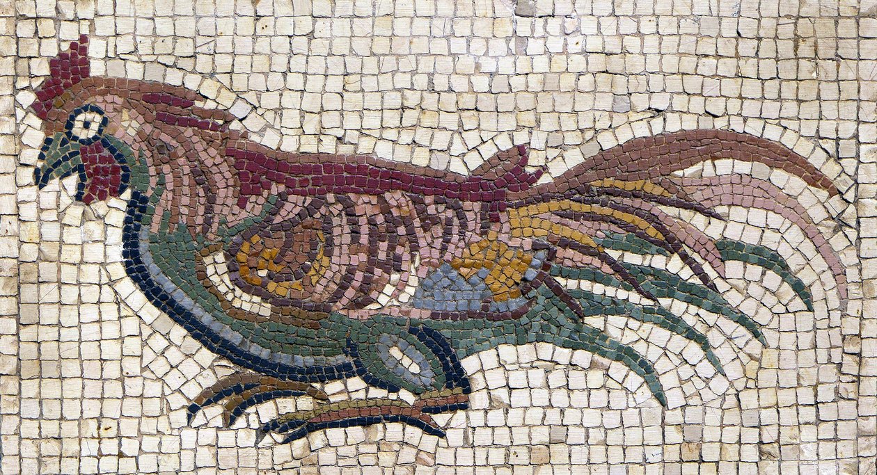 Multicolored rooster from the ground of a Roman villa in Tunisia (mosaic) by School Roman