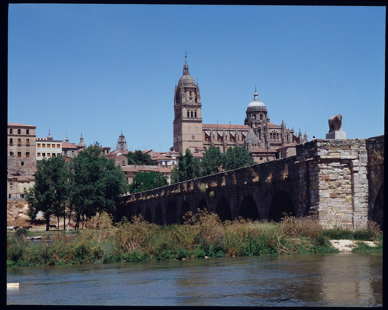 View of Roman bridge on river, Tormes and cathedral by School Spanish