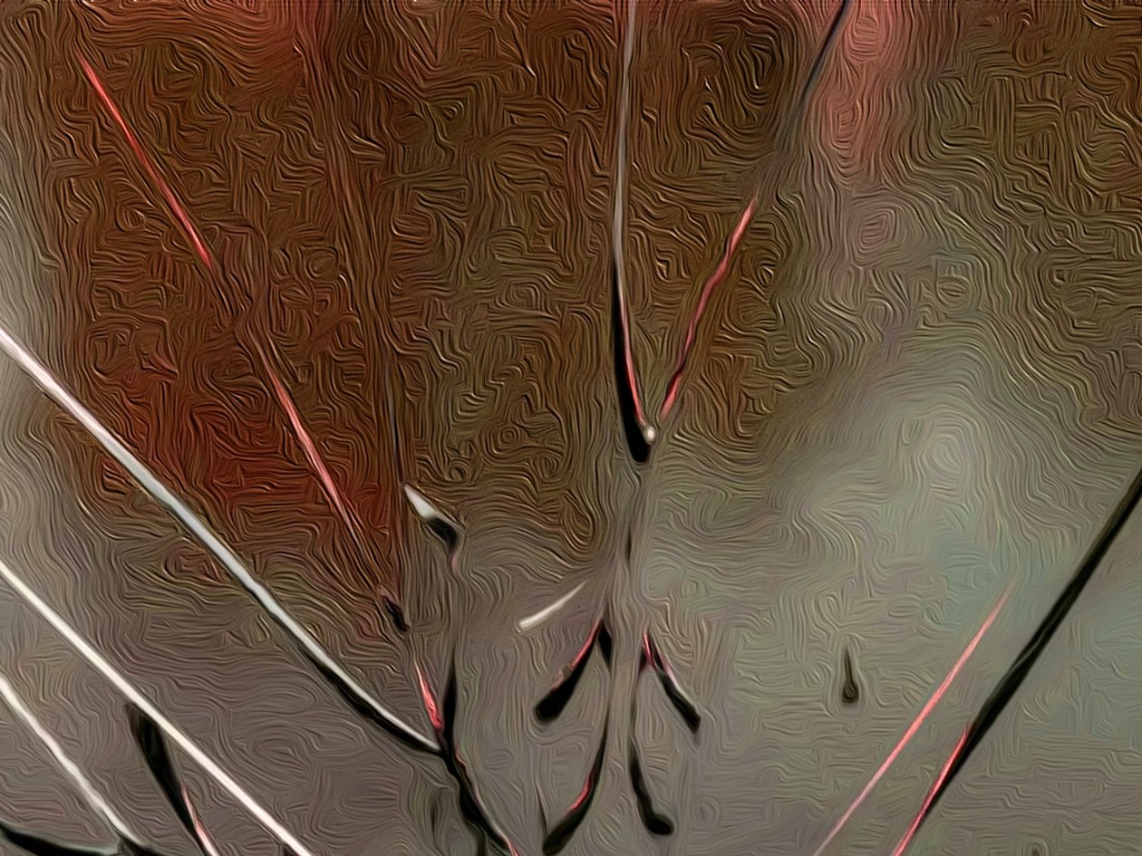 Glass by Scott J. Davis