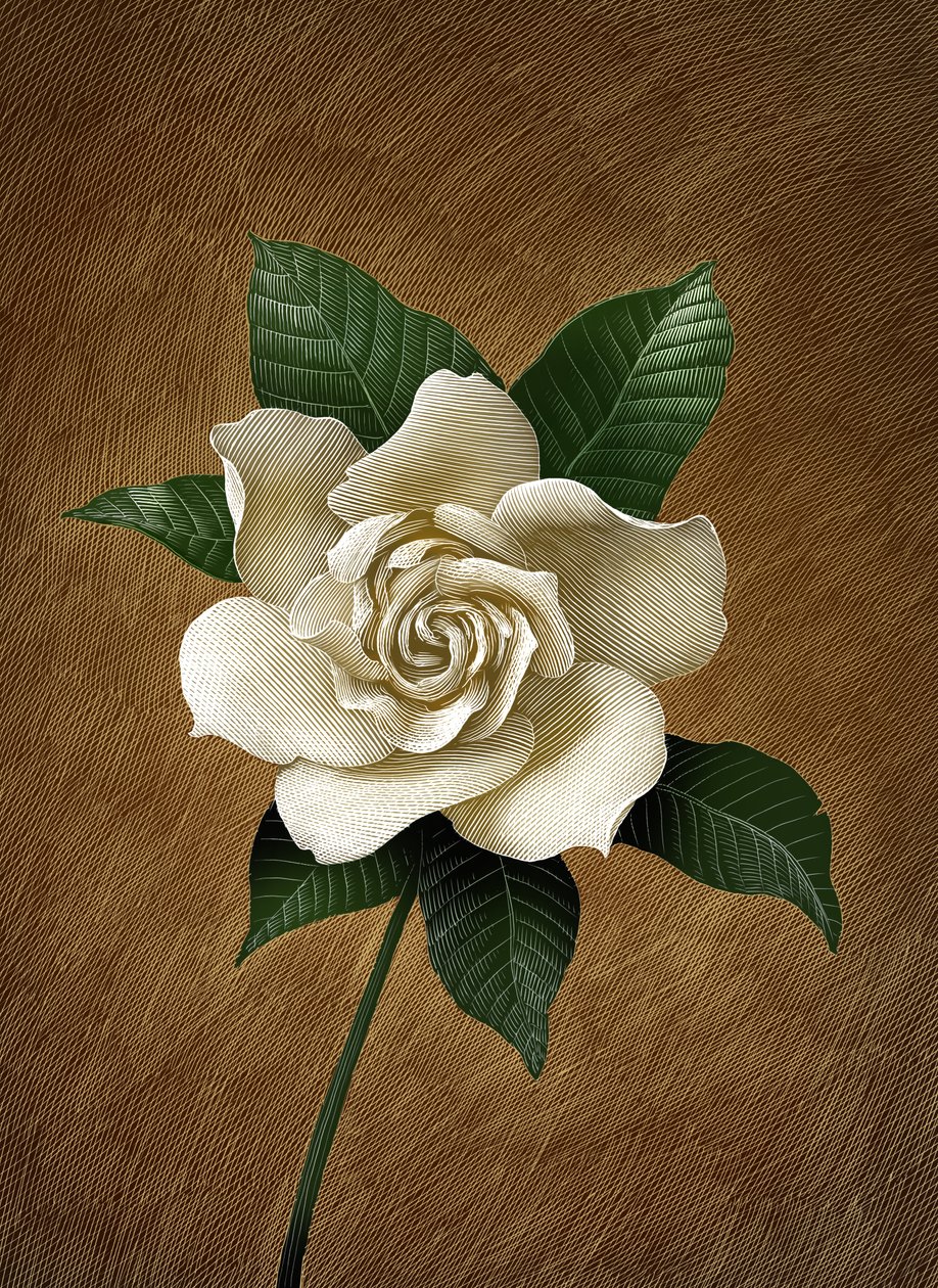Gardenia by Scott McKowen