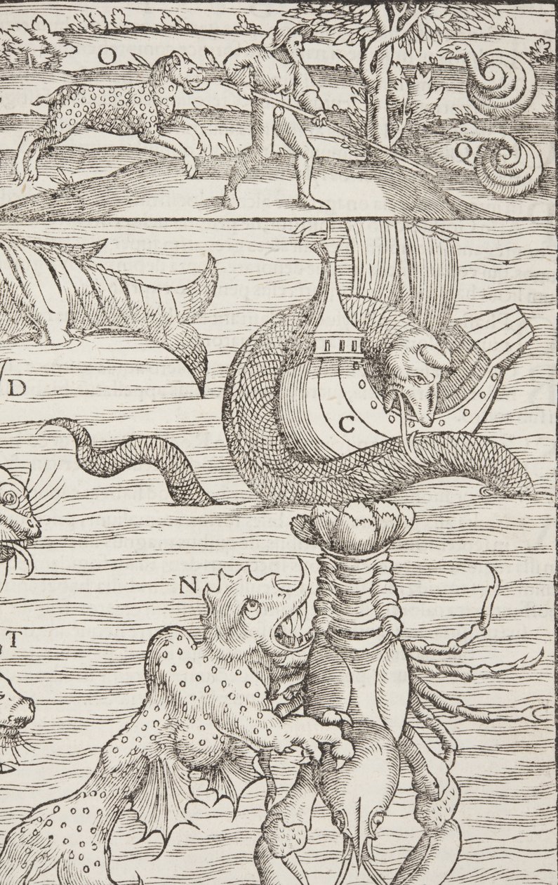 Cosmographia, Fol 853, 1544 by Sebastian Munster