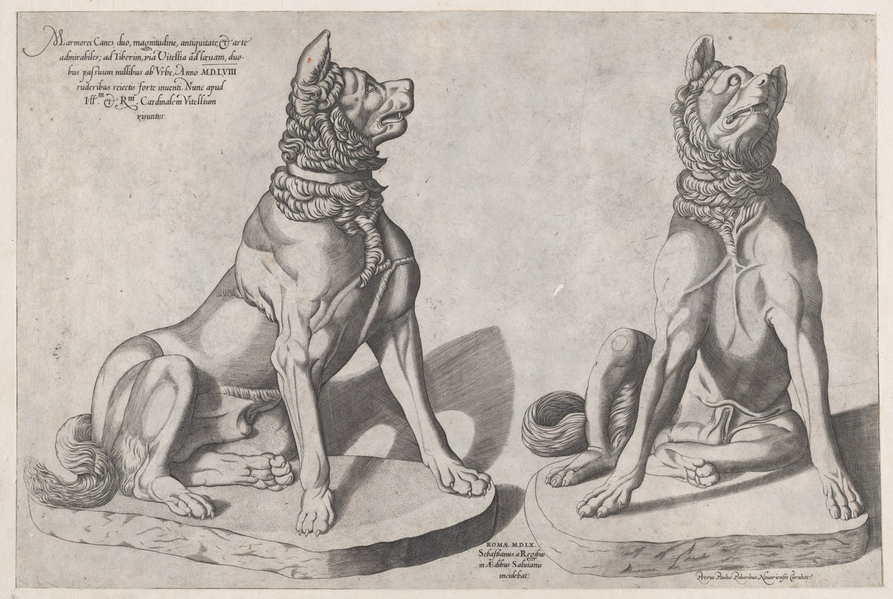 Speculum Romanae Magnificentiae: Two Dogs, 1558 by Sebastiano di Re