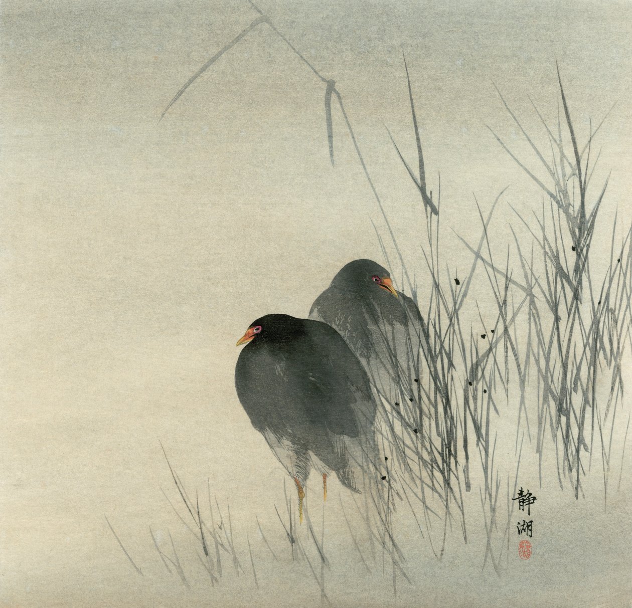 Two Moor Hens Standing in Misty Sedges by Seiko Okuhara