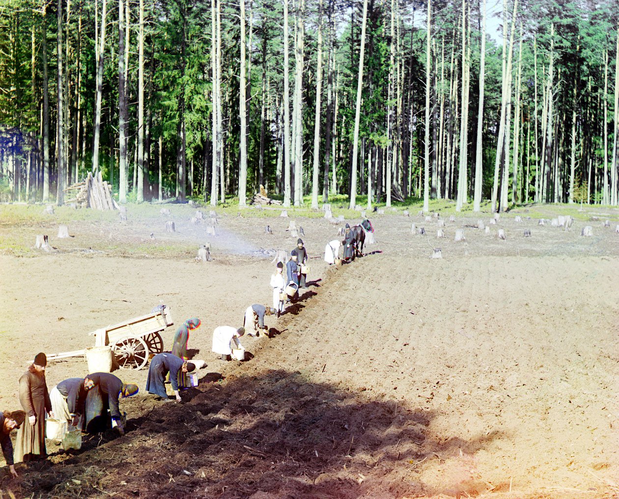 Monks Planting Potatoes Near the Gethsemane Monastery, Volga River, Russian Empire, 1910 by Sergey Prokudin Gorsky