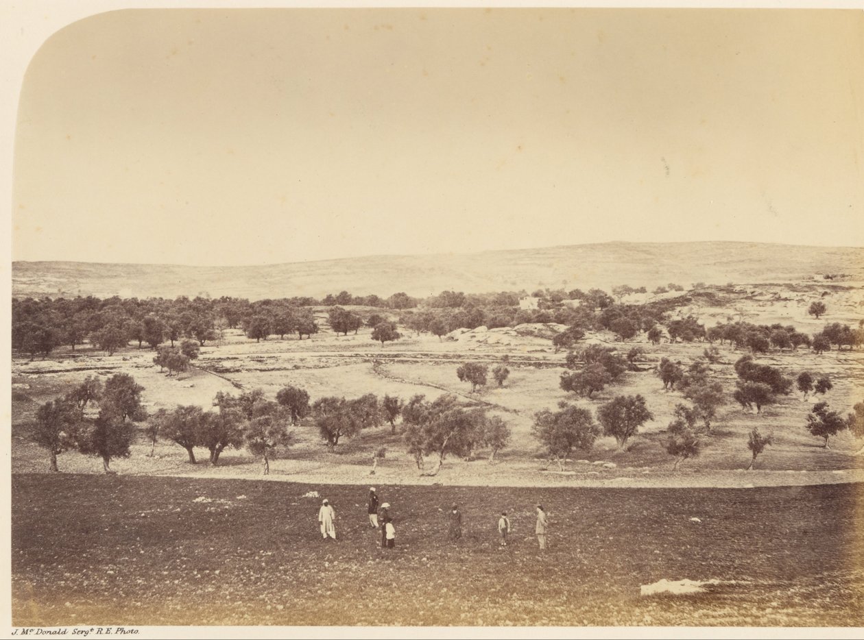 Panoramic View of the City from the North by Sgt. James M. McDonald