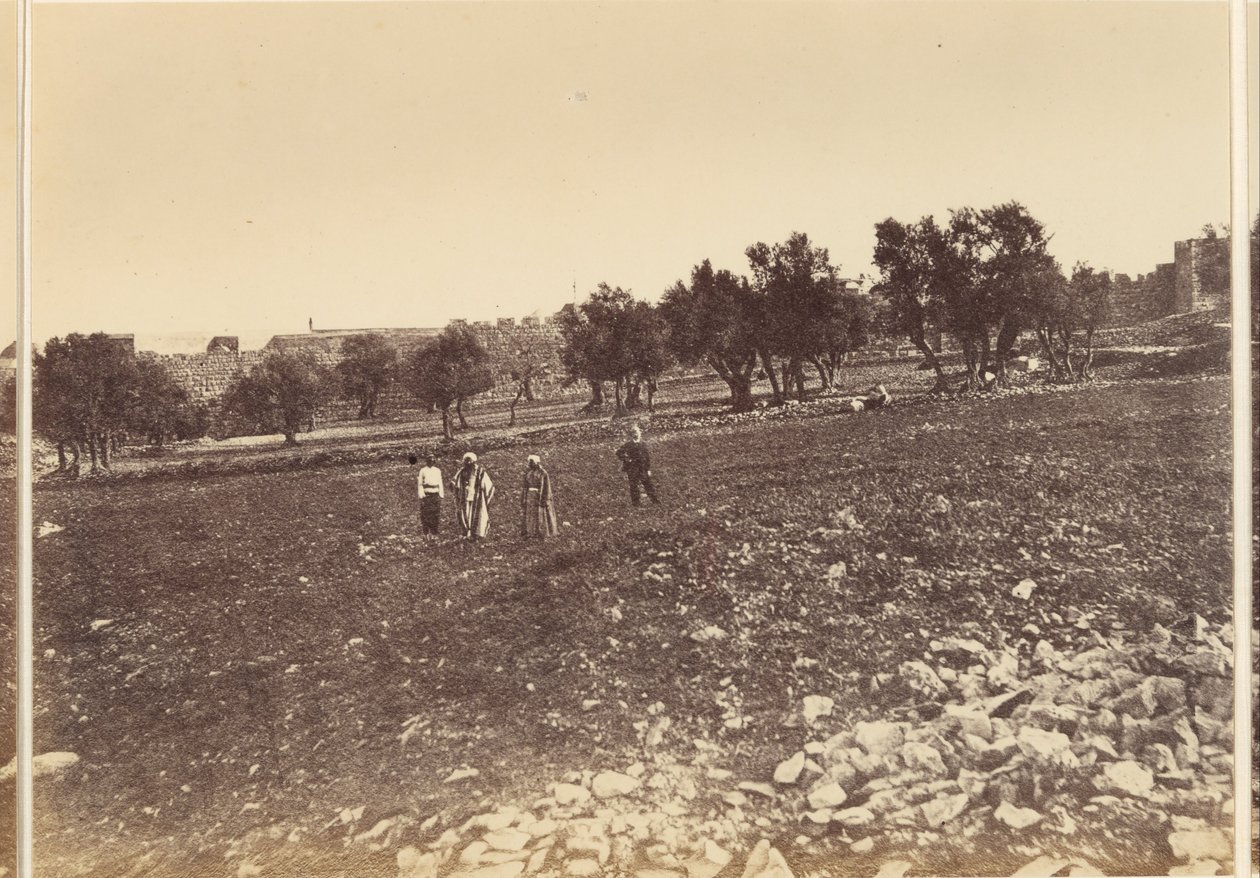 General View of the City from the North by Sgt. James M. McDonald