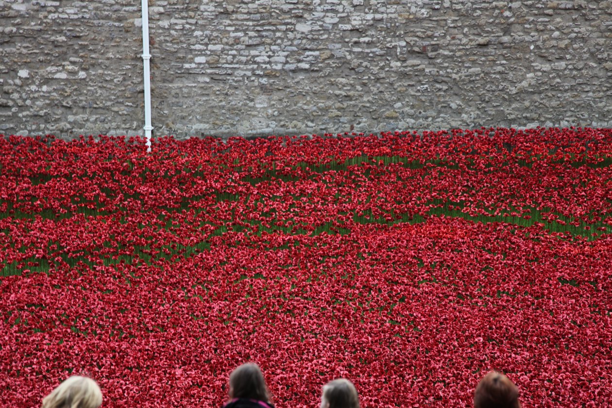 Blood Swept Lands and Seas of Red, Tower of London by Sheldon Marshall