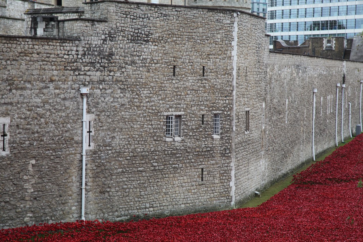 Blood Swept Lands and Seas of Red, Tower of London by Sheldon Marshall