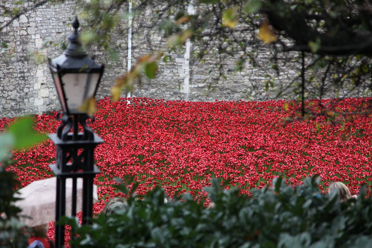 Blood Swept Lands and Seas of Red, Tower of London by Sheldon Marshall